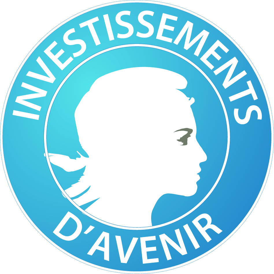 Investissements d'avenir